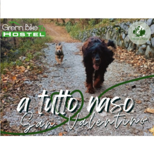 Prova copertina sito